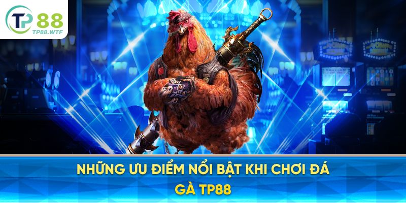 Những Ưu Điểm Nổi Bật Khi Chơi Đá Gà TP88